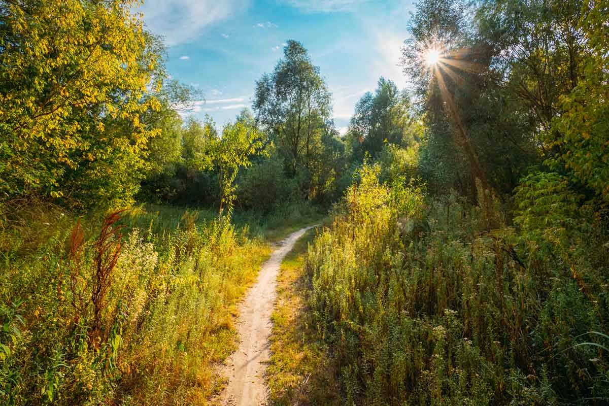 mental health peer support and recovery mental health peer support and recovery