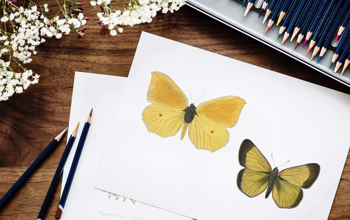 Using Hobbies To Reduce Stress - Tips For Dealing With ...