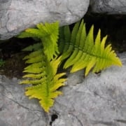 Taking The Pressure Off