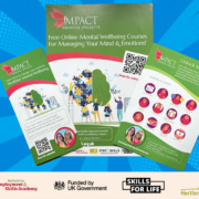 An image of Impact Mental Health's poster, flyers and brochures