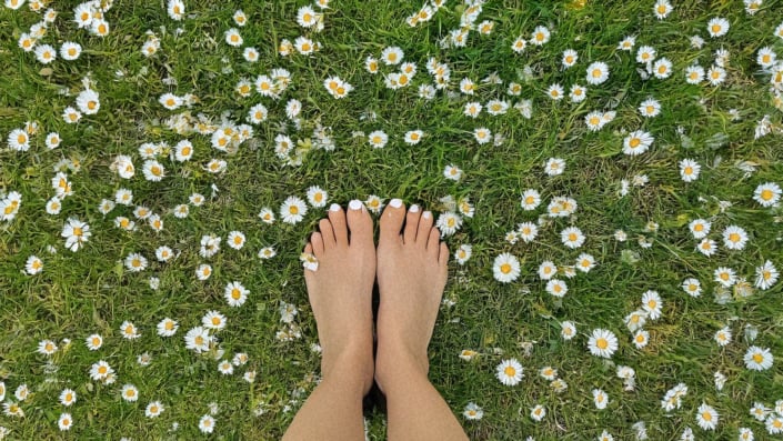 A womans feet on a daisy covered lawn A woman's feet on a daisy covered lawn