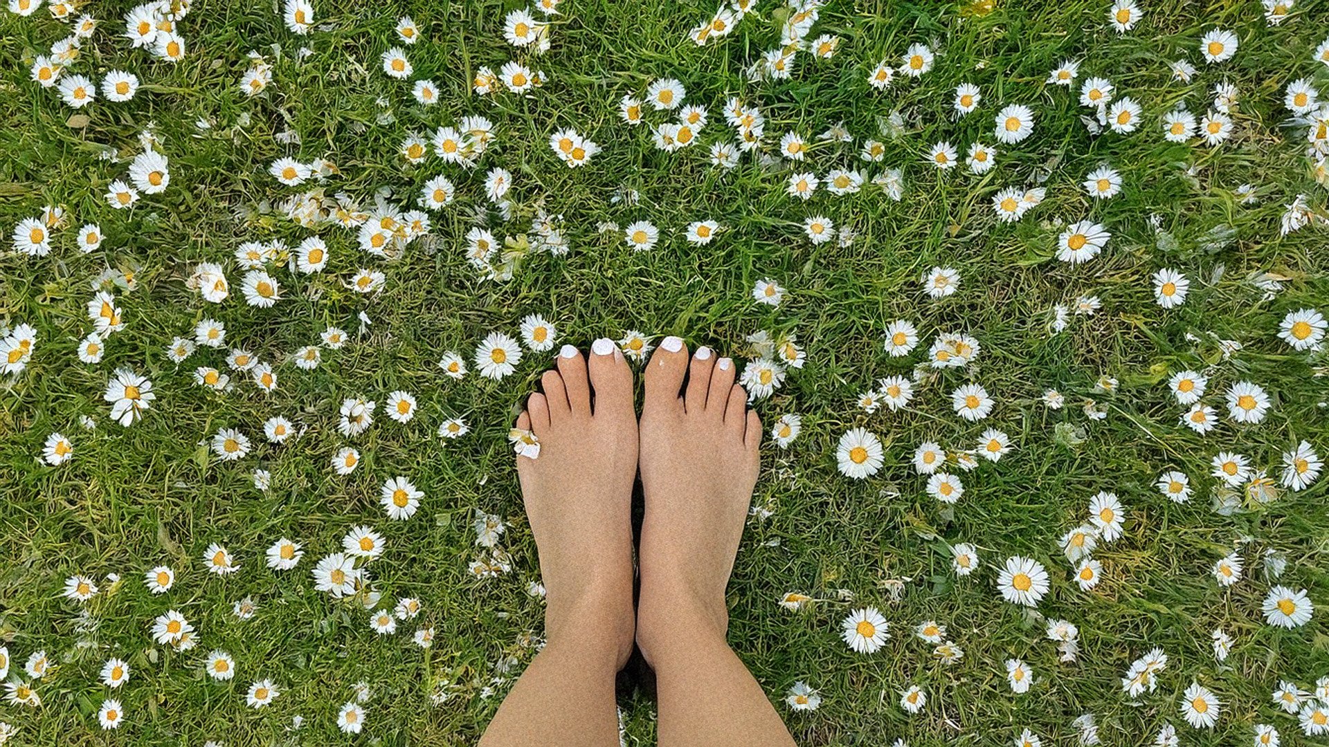 A woman's feet on a daisy covered lawn