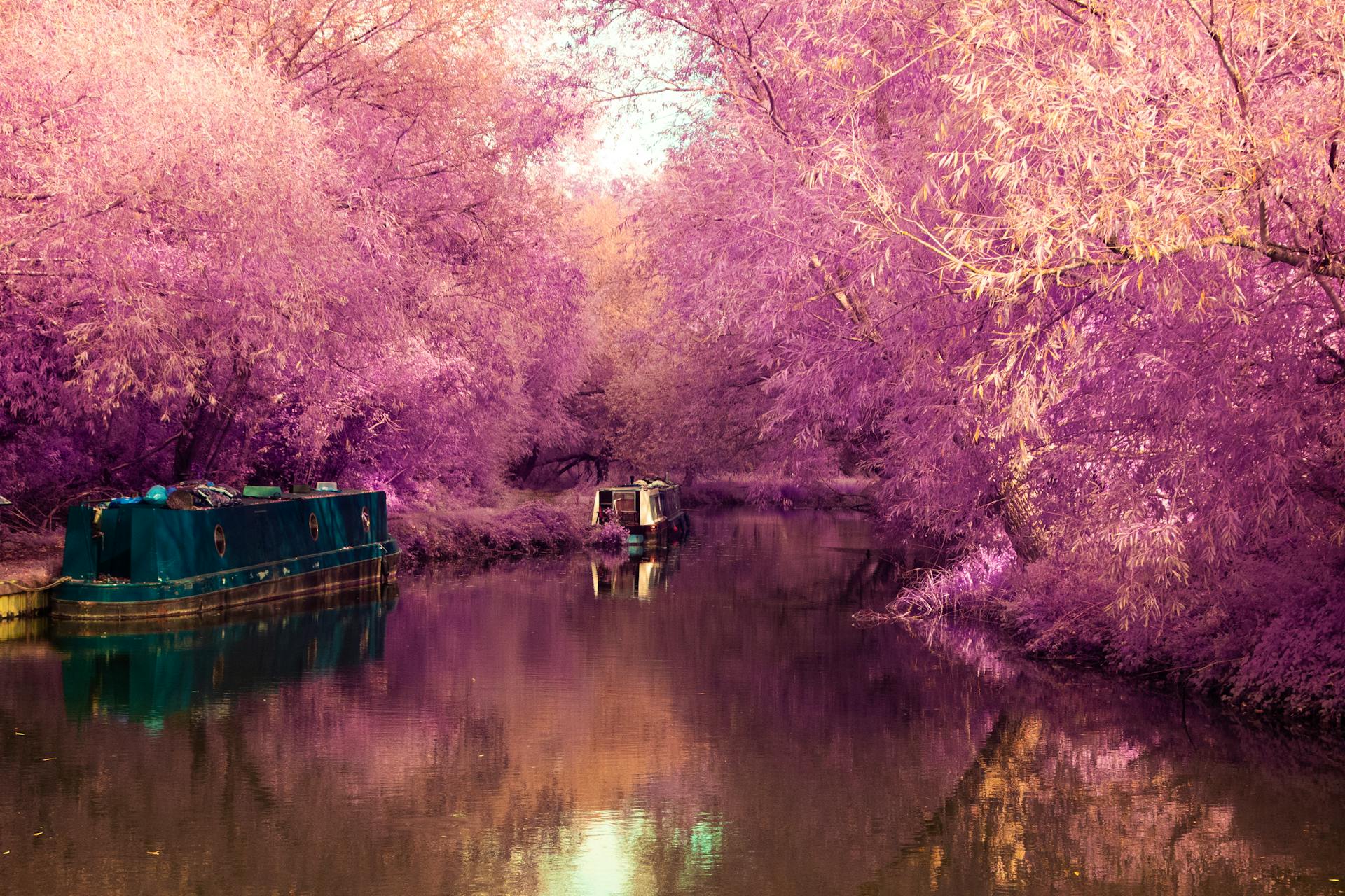 The canal at Sawbridgeworth